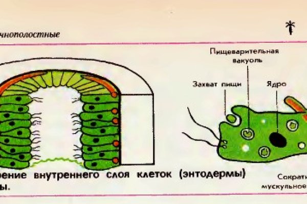 Мега реальная ссылка